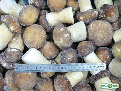 Frozen Boletus Edulis Mushrooms R&S GoodFoods