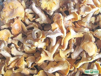 Frozen Golden Chanterelles R&S GoodFoods