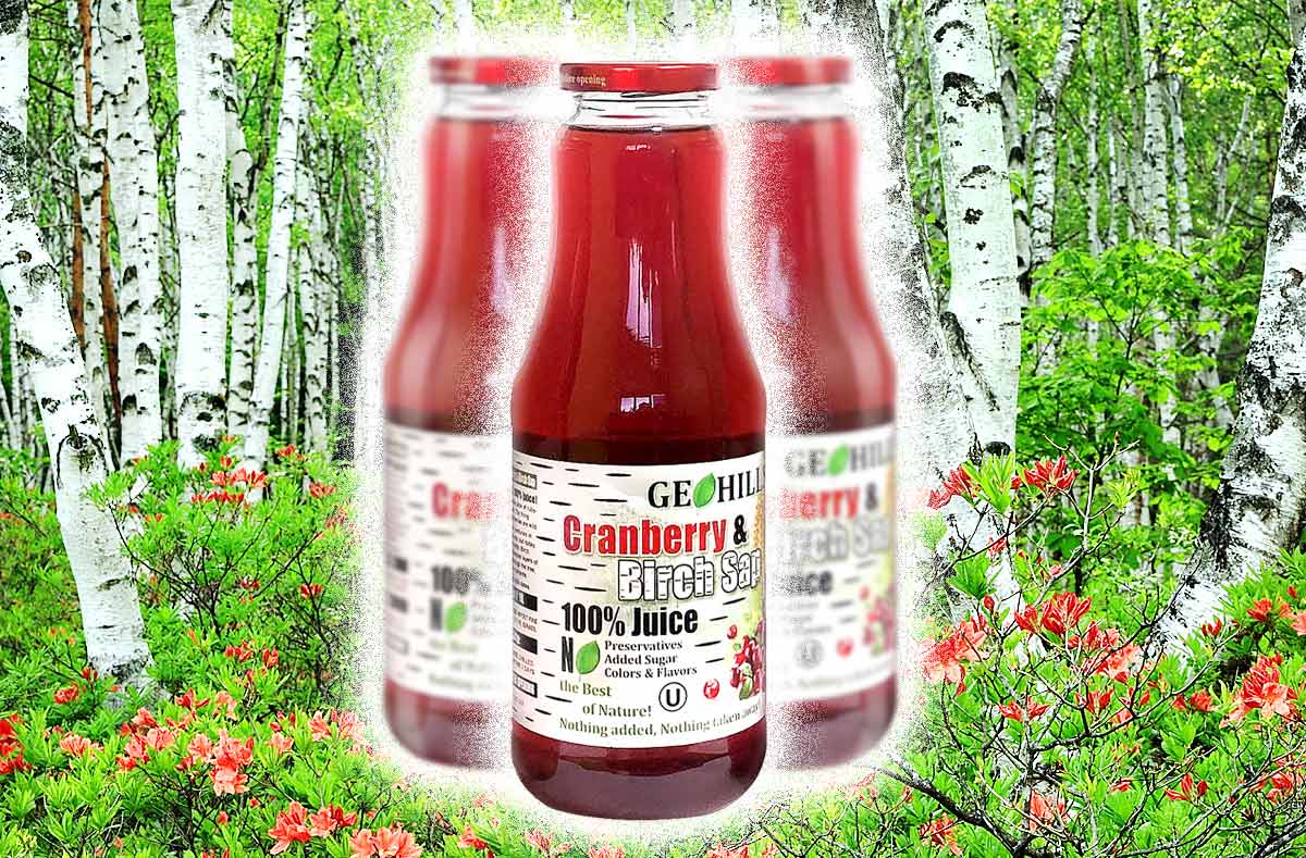 Cranberry & Birch Sap Juice R&S GoodFoods